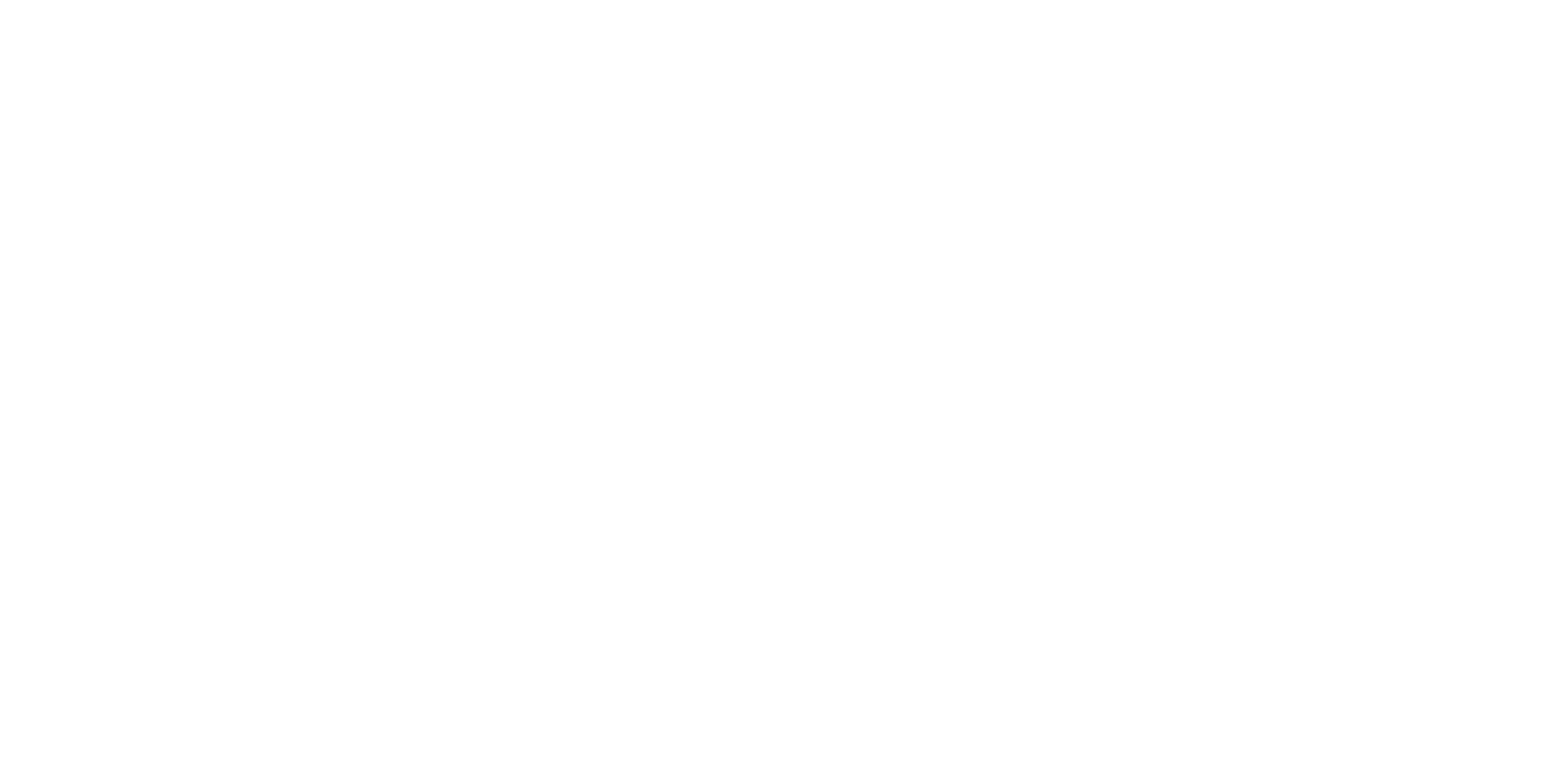 Ladies 1st logo - white (2)